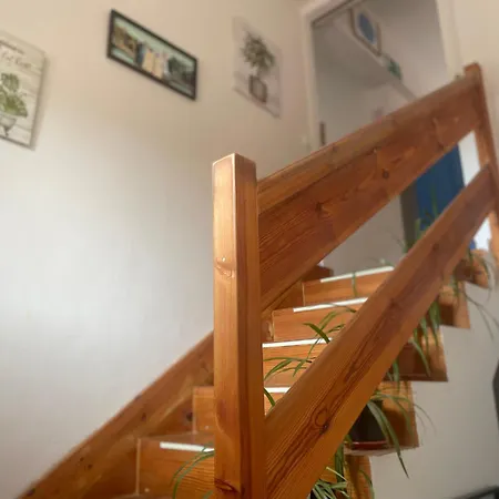 Hadas -solo Peregrinos - Vegano -bar Hostel *