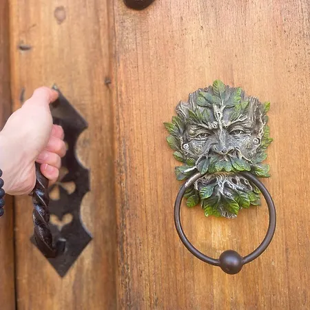 Hadas -solo Peregrinos - Vegano -bar *