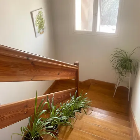 Hadas -solo Peregrinos - Vegano -bar