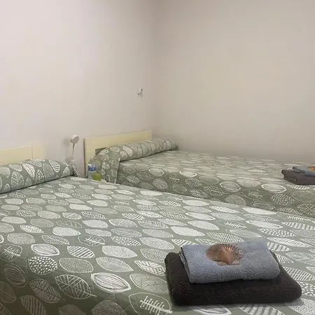 Auberge de jeunesse Hadas -solo Peregrinos - Vegano -bar