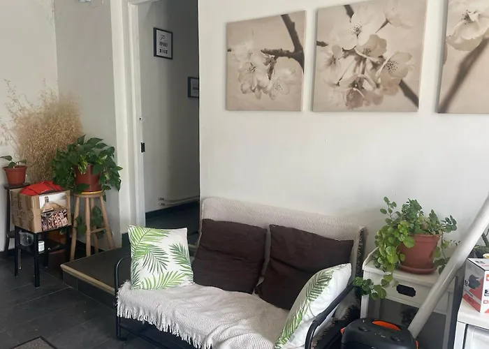 Hadas -solo Peregrinos - Vegano -bar 호스텔