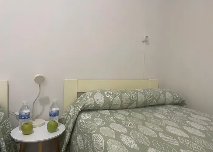 Hadas -solo Peregrinos - Vegano -bar 호스텔