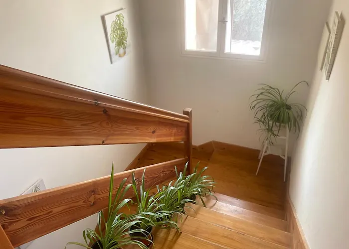 Hadas -solo Peregrinos - Vegano -bar