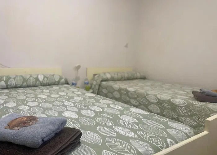 Hadas -solo Peregrinos - Vegano -bar 호스텔